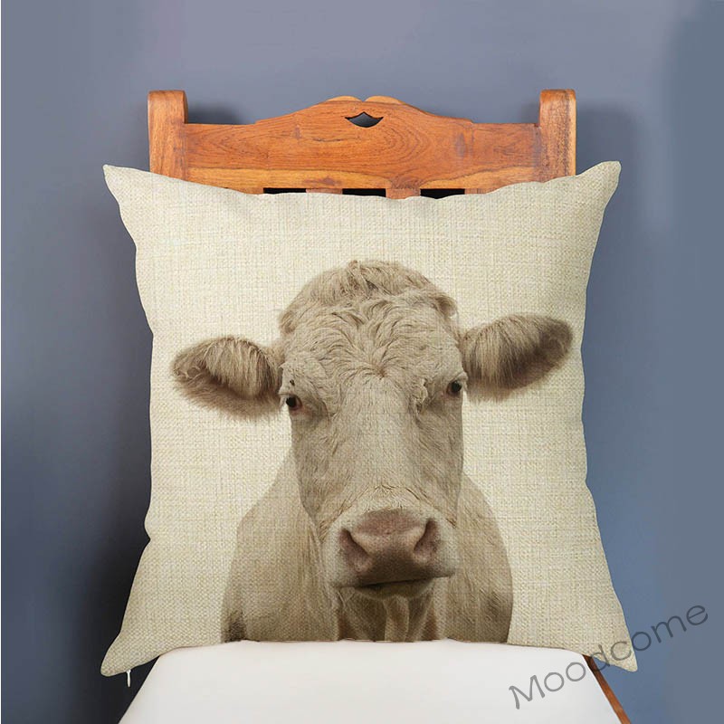 เด็กน่ารักการตั้งค่าเนอสเซอรี่ - Baby Zebra Nursery บทวิจารณ์และราคา