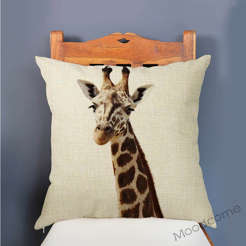 เด็กน่ารักการตั้งค่าเนอสเซอรี่ - Baby Zebra Nursery บทวิจารณ์และราคา
